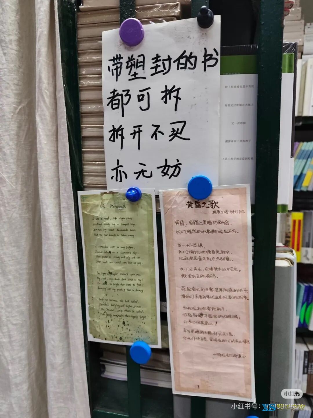 qw7.jpg