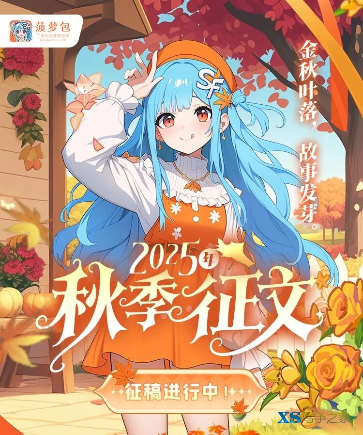 qw2.jpg